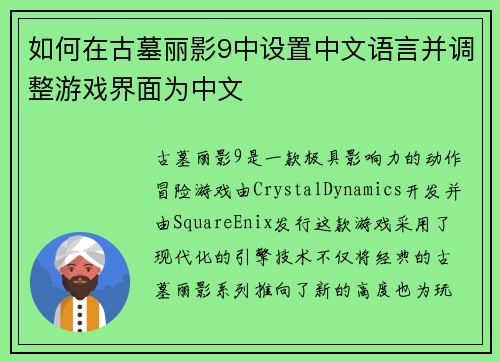 如何在古墓丽影9中设置中文语言并调整游戏界面为中文